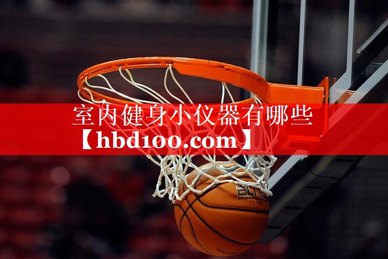 <strong>室内健身小仪器有哪些</strong>